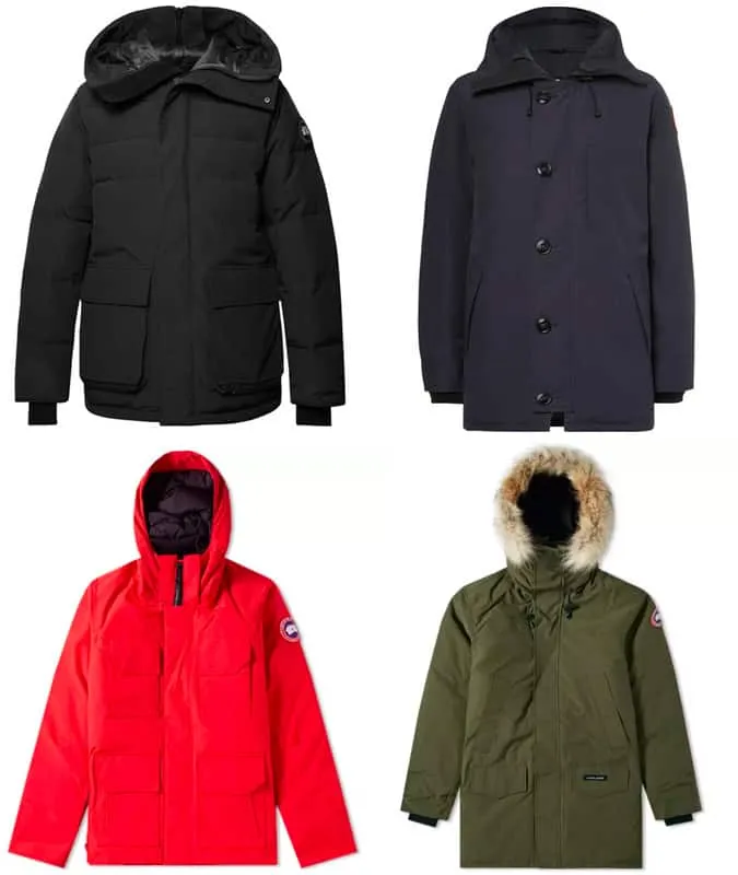 Những con ngỗng parkas ngon nhất canada