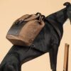 Chiến dịch trussardi ss14 canine