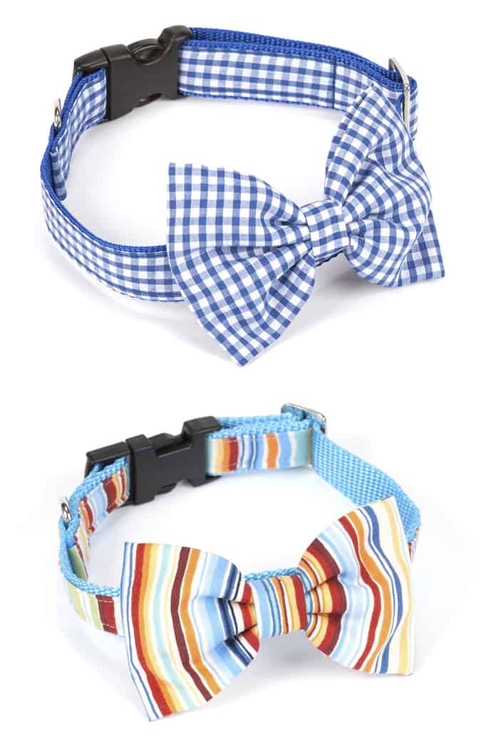 Bộ sưu tập áo choàng cổ cho chó mrs. Bowtie ss13