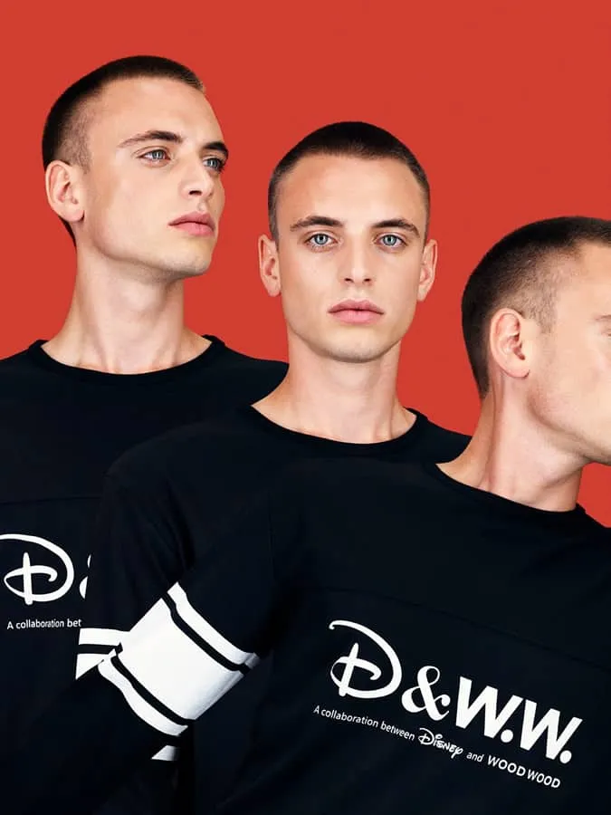 Bộ sưu tập gỗ disney x wood