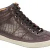 Belgravia trainer