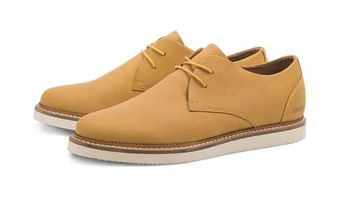 Bộ sưu tập giày pointer aw14