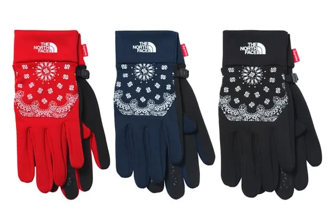 Supreme x the north face aw14