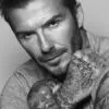 Bạn sẽ sớm có thể mua một bộ dụng cụ chải lông của david beckham