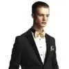 Velsvoir bow ties