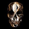 Alexander mcqueen: triển lãm vẻ đẹp savage
