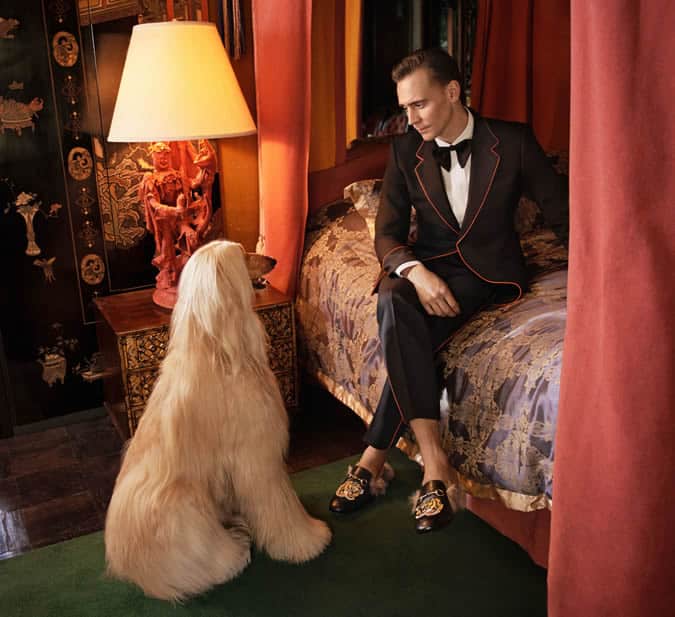 Guccitom-5