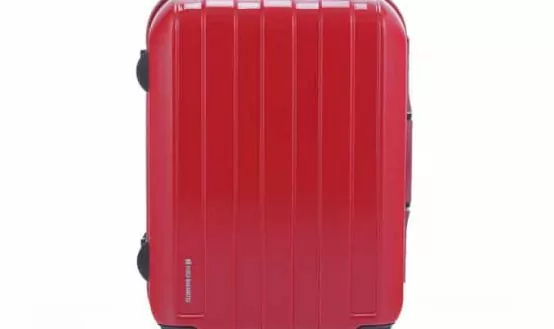 Hideo Wakamatsu luggage